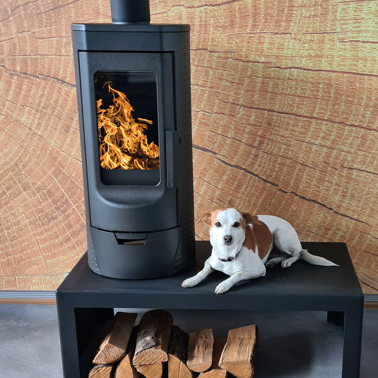 Plamen Tara designer cast iron fireplace – independent of room air