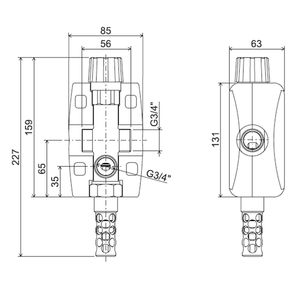 Regulus DBV2 ¾" doppelte Thermische Ablaufsicherung - 2 - Wege - Ventil - GEMA Shop
